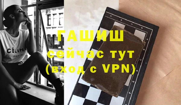 индика Абаза