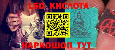 амф Кулебаки