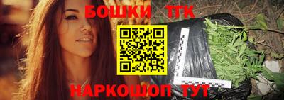 индика Кунгур