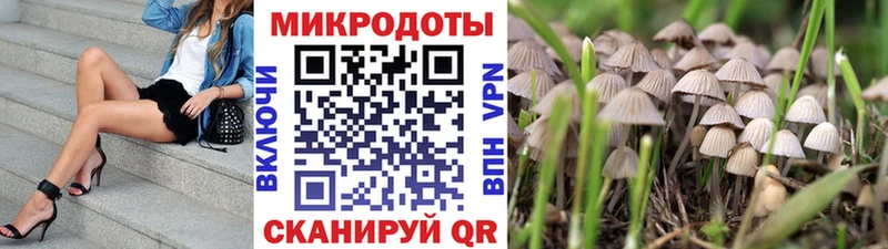 Галлюциногенные грибы Cubensis даркнет сайт Златоуст