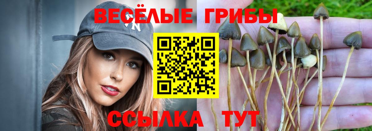 Златоуст  Псилоцибиновые грибы Cubensis  Псилоцибиновые грибы MAGIC MUSHROOMS  Вход с VPN 